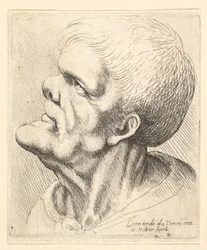 Huvudet på en man med utskjutande haka och snuvad näsa tittar uppåt i profil till vänster, 1625-77.