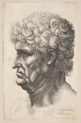 Huvud av en man med tjockt lockigt hår i profil till vänster, 1640-49.