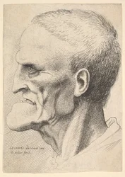Huvud av en gammal man med en uttalad haka, kort avklippt hår och gapande mun som visar ..., 1625-77.
