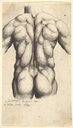 Naken manlig överkropp sedd bakifrån, 1645.