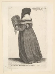 Adelskvinna från Brabant, Adelskvinna från Brabant, 1648