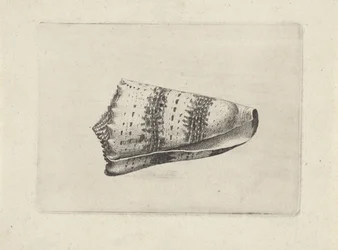 Skal, conus imperialis Skal (serietitel)