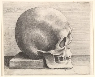 Skalle i profil till höger, 1645.