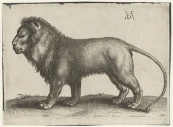 stående lejon