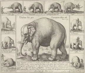 De luktar också En elefant sågs här i Europa (titel på objekt)