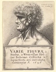 Titelsida till Variety of Figures & Probes, 1645