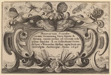 Titelsida