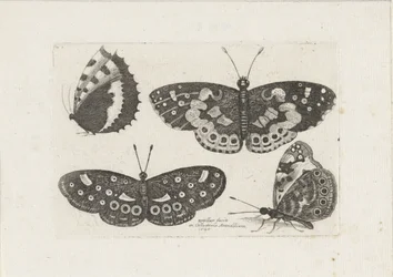 Vier vlinders Insekter (serietitel) Scarab Flies (serietitel)