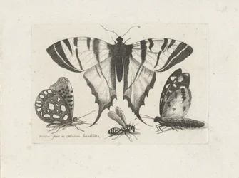 Fjärilar och en geting Insekter (serietitel) Muscarum Scarabeorum (serietitel)