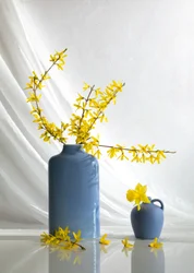 Gula blommor i blå vaser