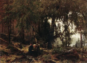 Skog i regn
