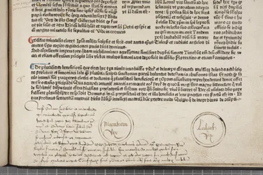 Fol 54 recto, detalj, Metadata