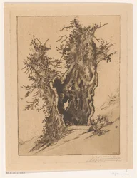 Ihåligt träd på Seelisberg i Schweiz Hollow Tree (originaltitel)