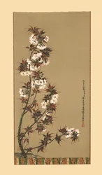 The Cherry Blossoms of Mikawa, 1800-talet, 1886