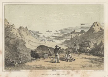 Mauritius från Pouce, 1855