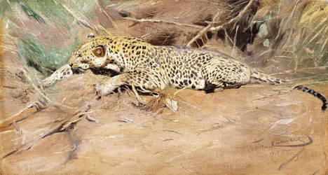 En leopard,