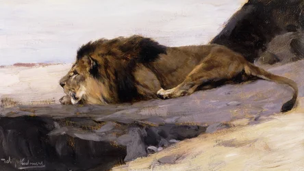 Ett vilande lejon; Ruhender Lowe,