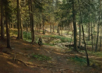 Skogslandskap