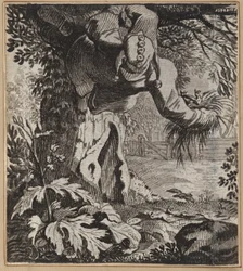 Den djärva dåren