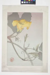 Blomsterstudie