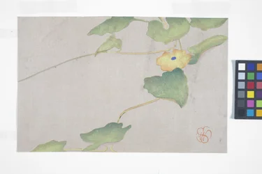 Flower Study, c.1908 (träblock i färg)