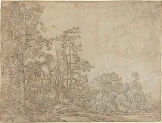 Woodland Pond med en fiskare