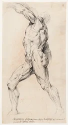 Anatomisk studie (écorché)