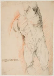 Anatomiska studier (écorché). Framifrån av stående flådd man, hans vänstra arm upphöjd