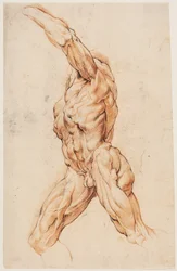 Anatomiska studier (écorchés). Gående flådd man vände sig till vänster