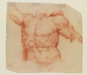 Framifrån av Laocoons torso
