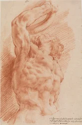 Laocoon. Laocoons torso ses underifrån från höger.
