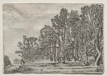 The Set of the Landscapes: Two Plank-Hedges, 1616.