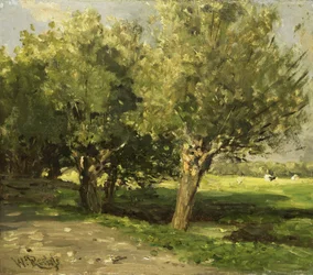 Pilträd