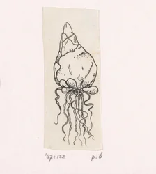 blomlök