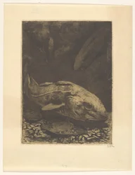 Fisk och vattenväxter