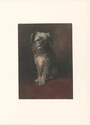Porträtt av hunden Phoebus