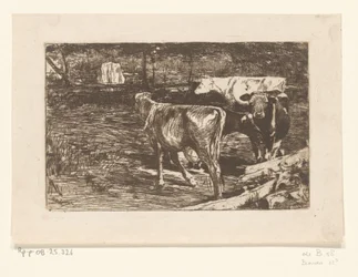 Fyra kor på en äng Milk Bend (originaltitel)