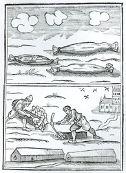 Facsimil av den stora pestens hieroglyf från "Monarchy or No Monarchy in England" av William Lilly, publicerad 1651 (träsnitt) (svartvitt foto)