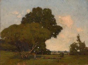 Träden, tidig eftermiddag, Frankrike, ca. 1905.