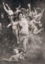 Ett bo av amoriner, från Bibbys Annual, 1916-1917