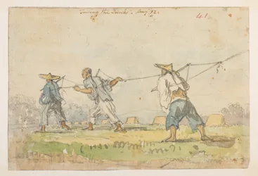 WD 959 avsnitt 2 f.41r