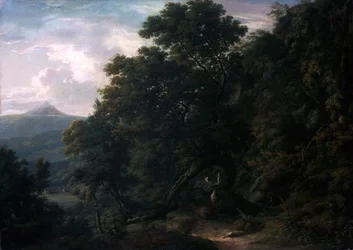 Vy över Powerscourt Demesne (olja på duk)