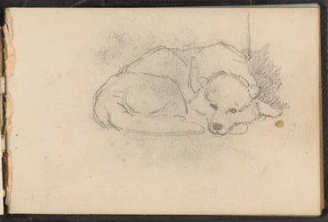 Skiss av en sovande hund, 1879 ca