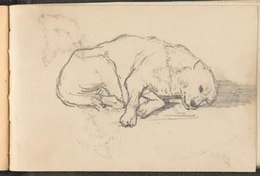 Skiss av en sovande hund, 1879 ca