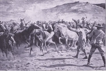 Fångandet av hästarna i Brandwater-distriktet nära Fouriesburg: runda upp flocken, illustration från After Pretoria: The Guerilla War, 1902