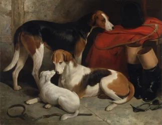 Ett par av Lord Henry Bentincks Foxhounds with a Terrier, c.1845 (olja på duk)