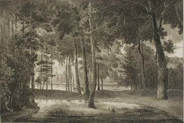 Utsikt från Elysian Bower
