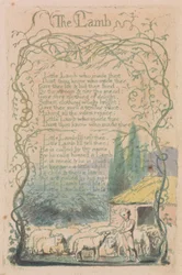 Songs of Innocence and of Experience, tavla 18, "The Lamb" (Bentley 8)