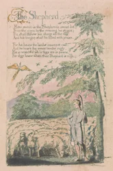 Songs of Innocence and of Experience, tavla 4, "The Shepherd" (Bentley 5)