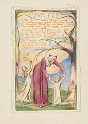 Sånger om oskuld och erfarenhet: Flugan, ca. 1825.